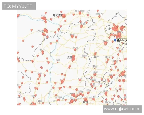 LNG市场竞争新策略深度分析与解读